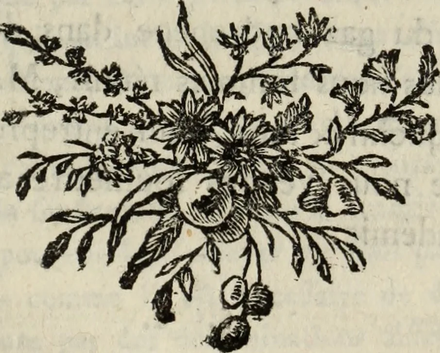 An illustration from Annales de chimie et de physique, 1789, leaf 232