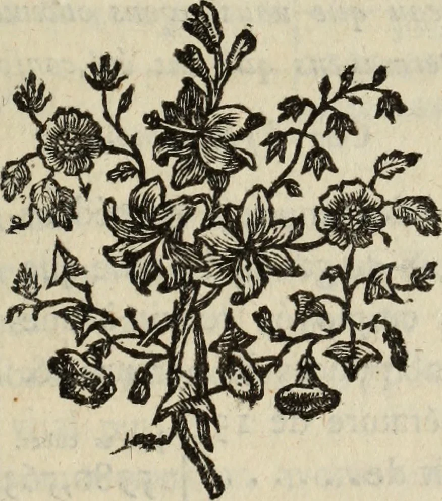 An illustration from Annales de chimie et de physique, 1789, leaf 32