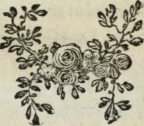 An illustration from Annales de chimie et de physique, 1789, leaf 175