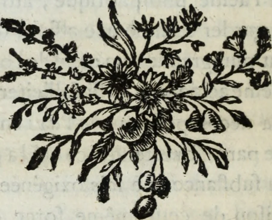 An illustration from Annales de chimie et de physique, 1789, leaf 31