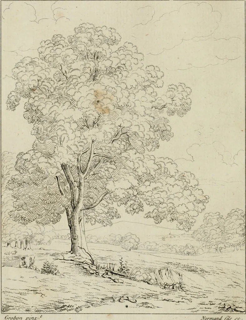 An illustration from Annales du musée et de l'école moderne des beaux-arts : recueil de gravures au trait, d'après les principaux ouvrages de peinture, sculpture, ou projets d'architecture, qui, chaque année, ont remporté le prix, soit aux écoles spéciales, soit aux concours nationaux : les productions des artistes en tous genres, qui, aux différentes expositions, ont été citées avec éloges : les morceaux les plus estimés ou inédits de la galerie de peinture : la suite complète de celle des antiques : édifices anciens et modernes, etc., 1800, leaf 155