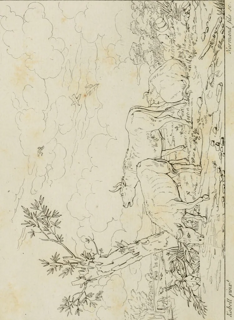 An illustration from Annales du musée et de l'école moderne des beaux-arts : recueil de gravures au trait, d'après les principaux ouvrages de peinture, sculpture, ou projets d'architecture, qui, chaque année, ont remporté le prix, soit aux écoles spéciales, soit aux concours nationaux : les productions des artistes en tous genres, qui, aux différentes expositions, ont été citées avec éloges : les morceaux les plus estimés ou inédits de la galerie de peinture : la suite complète de celle des antiques : édifices anciens et modernes, etc., 1800, leaf 75