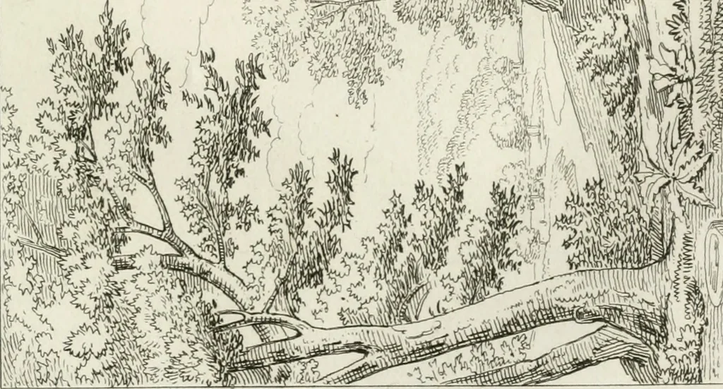 An illustration from Annales du musée et de l'école moderne des beaux-arts : recueil de gravures au trait, d'après les principaux ouvrages de peinture, sculpture, ou projets d'architecture, qui, chaque année, ont remporté le prix, soit aux écoles spéciales, soit aux concours nationaux : les productions des artistes en tous genres, qui, aux différentes expositions, ont été citées avec éloges : les morceaux les plus estimés ou inédits de la galerie de peinture : la suite complète de celle des antiques : édifices anciens et modernes, etc., 1800, leaf 424