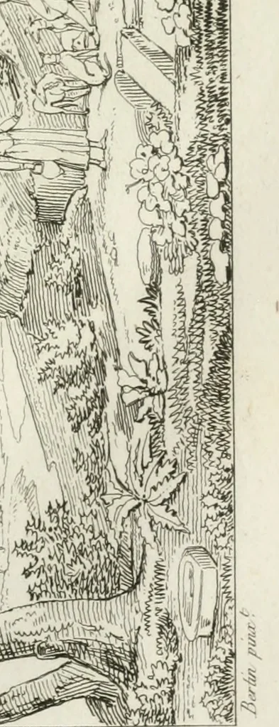An illustration from Annales du musée et de l'école moderne des beaux-arts : recueil de gravures au trait, d'après les principaux ouvrages de peinture, sculpture, ou projets d'architecture, qui, chaque année, ont remporté le prix, soit aux écoles spéciales, soit aux concours nationaux : les productions des artistes en tous genres, qui, aux différentes expositions, ont été citées avec éloges : les morceaux les plus estimés ou inédits de la galerie de peinture : la suite complète de celle des antiques : édifices anciens et modernes, etc., 1800, leaf 424