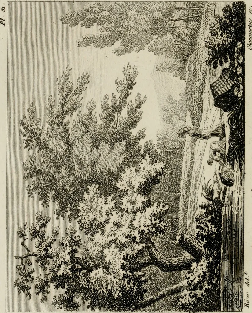 An illustration from Annales du musée et de l'école moderne des beaux-arts : recueil de gravures au trait, d'après les principaux ouvrages de peinture, sculpture, ou projets d'architecture, qui, chaque année, ont remporté le prix, soit aux écoles spéciales, soit aux concours nationaux : les productions des artistes en tous genres, qui, aux différentes expositions, ont été citées avec éloges : les morceaux les plus estimés ou inédits de la galerie de peinture : la suite complète de celle des antiques : édifices anciens et modernes, etc., 1800, leaf 167