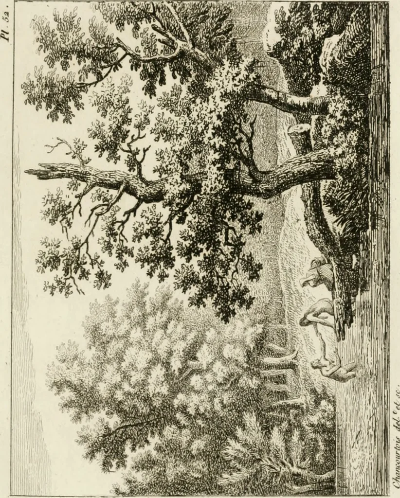 An illustration from Annales du musée et de l'école moderne des beaux-arts : recueil de gravures au trait, d'après les principaux ouvrages de peinture, sculpture, ou projets d'architecture, qui, chaque année, ont remporté le prix, soit aux écoles spéciales, soit aux concours nationaux : les productions des artistes en tous genres, qui, aux différentes expositions, ont été citées avec éloges : les morceaux les plus estimés ou inédits de la galerie de peinture : la suite complète de celle des antiques : édifices anciens et modernes, etc., 1800, leaf 170