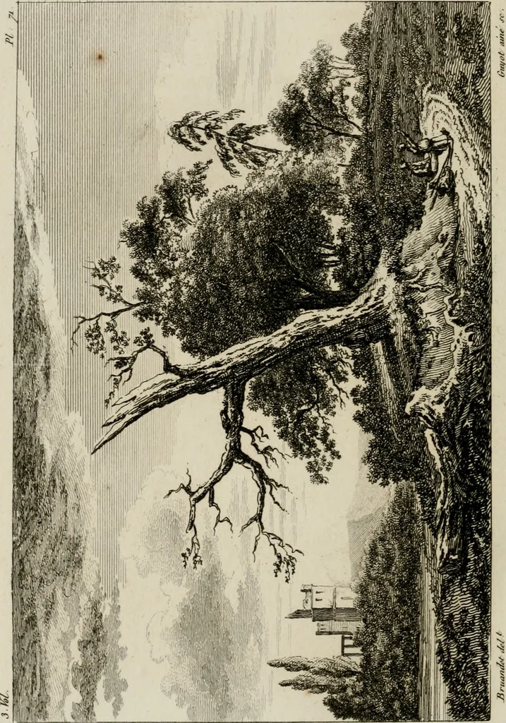 An illustration from Annales du musée et de l'école moderne des beaux-arts : recueil de gravures au trait, d'après les principaux ouvrages de peinture, sculpture, ou projets d'architecture, qui, chaque année, ont remporté le prix, soit aux écoles spéciales, soit aux concours nationaux : les productions des artistes en tous genres, qui, aux différentes expositions, ont été citées avec éloges : les morceaux les plus estimés ou inédits de la galerie de peinture : la suite complète de celle des antiques : édifices anciens et modernes, etc., 1800, leaf 227