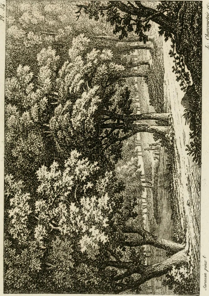 An illustration from Annales du musée et de l'école moderne des beaux-arts : recueil de gravures au trait, d'après les principaux ouvrages de peinture, sculpture, ou projets d'architecture, qui, chaque année, ont remporté le prix, soit aux écoles spéciales, soit aux concours nationaux : les productions des artistes en tous genres, qui, aux différentes expositions, ont été citées avec éloges : les morceaux les plus estimés ou inédits de la galerie de peinture : la suite complète de celle des antiques : édifices anciens et modernes, etc., 1800, leaf 172