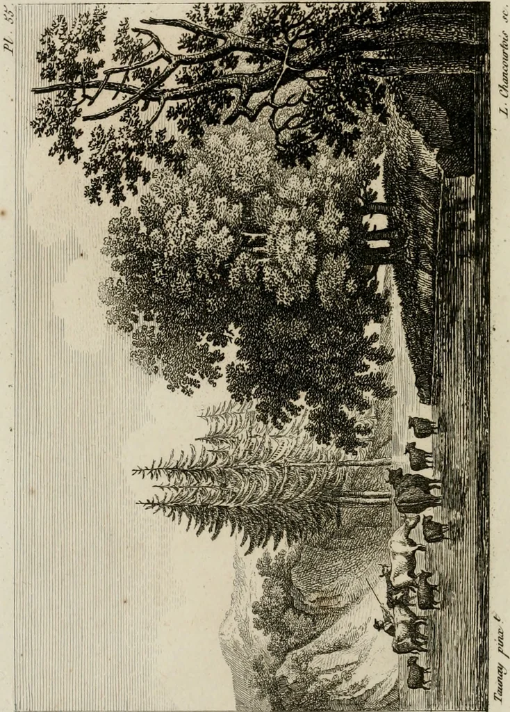 An illustration from Annales du musée et de l'école moderne des beaux-arts : recueil de gravures au trait, d'après les principaux ouvrages de peinture, sculpture, ou projets d'architecture, qui, chaque année, ont remporté le prix, soit aux écoles spéciales, soit aux concours nationaux : les productions des artistes en tous genres, qui, aux différentes expositions, ont été citées avec éloges : les morceaux les plus estimés ou inédits de la galerie de peinture : la suite complète de celle des antiques : édifices anciens et modernes, etc., 1800, leaf 175