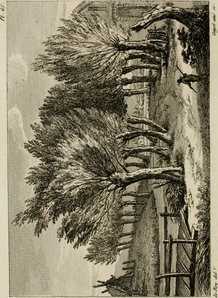 An illustration from Annales du musée et de l'école moderne des beaux-arts : recueil de gravures au trait, d'après les principaux ouvrages de peinture, sculpture, ou projets d'architecture, qui, chaque année, ont remporté le prix, soit aux écoles spéciales, soit aux concours nationaux : les productions des artistes en tous genres, qui, aux différentes expositions, ont été citées avec éloges : les morceaux les plus estimés ou inédits de la galerie de peinture : la suite complète de celle des antiques : édifices anciens et modernes, etc., 1800, leaf 205