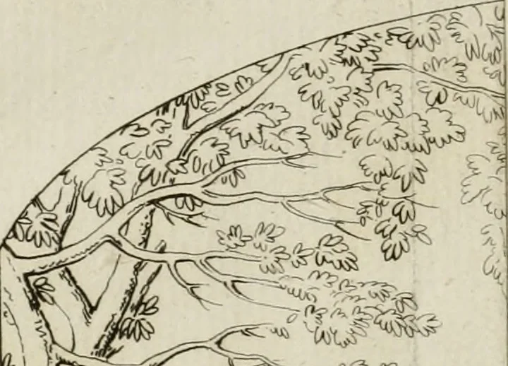 An illustration from Annales du musée et de l'école moderne des beaux-arts : recueil de gravures au trait, d'après les principaux ouvrages de peinture, sculpture, ou projets d'architecture, qui, chaque année, ont remporté le prix, soit aux écoles spéciales, soit aux concours nationaux : les productions des artistes en tous genres, qui, aux différentes expositions, ont été citées avec éloges : les morceaux les plus estimés ou inédits de la galerie de peinture : la suite complète de celle des antiques : édifices anciens et modernes, etc., 1800, leaf 33