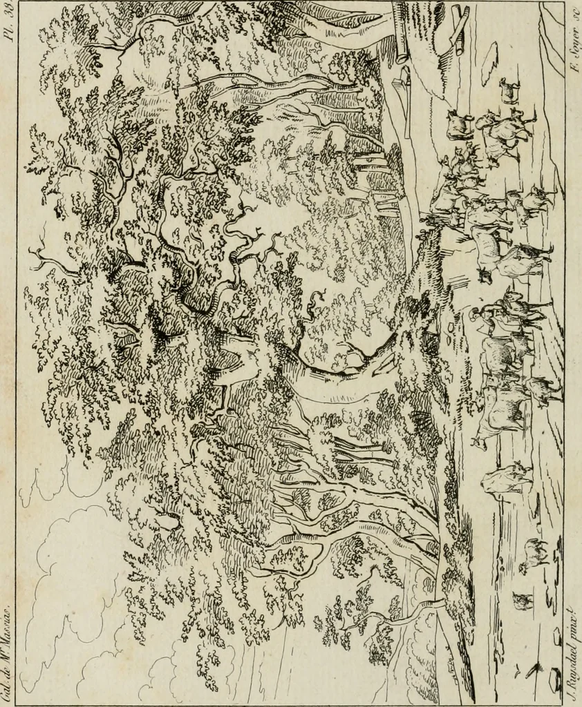 An illustration from Annales du musée et de l'école moderne des beaux-arts : recueil de gravures au trait, d'après les principaux ouvrages de peinture, sculpture, ou projets d'architecture, qui, chaque année, ont remporté le prix, soit aux écoles spéciales, soit aux concours nationaux : les productions des artistes en tous genres, qui, aux différentes expositions, ont été citées avec éloges : les morceaux les plus estimés ou inédits de la galerie de peinture : la suite complète de celle des antiques : édifices anciens et modernes, etc., 1800, leaf 159