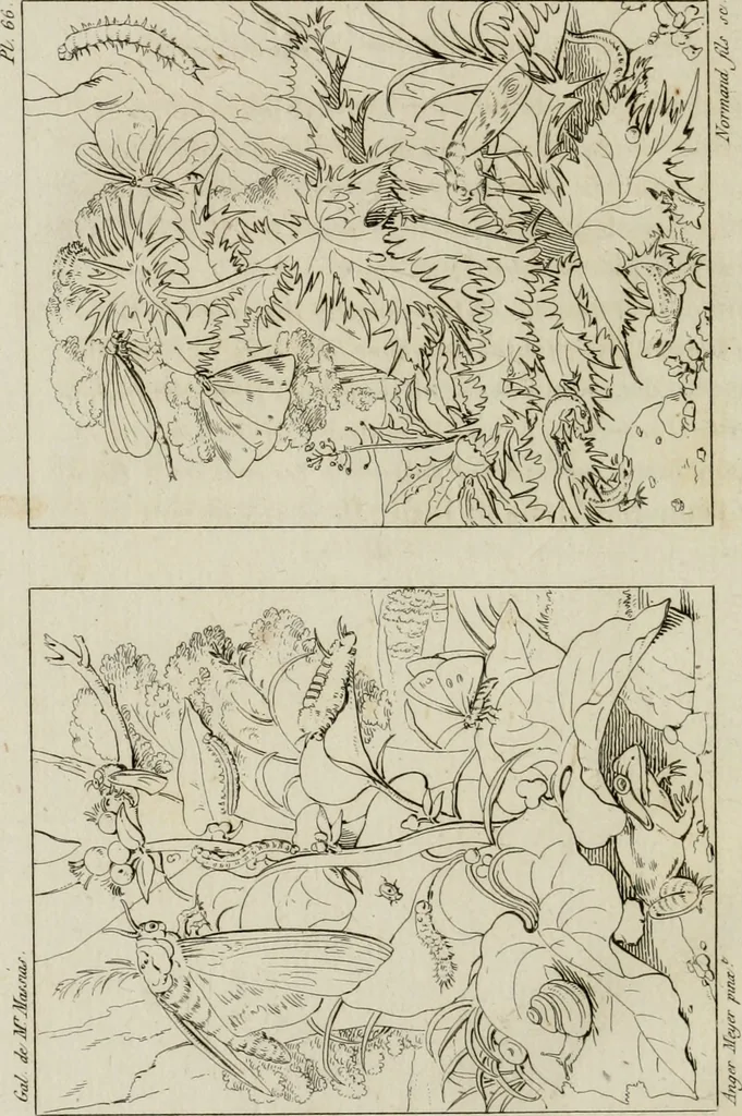 An illustration from Annales du musée et de l'école moderne des beaux-arts : recueil de gravures au trait, d'après les principaux ouvrages de peinture, sculpture, ou projets d'architecture, qui, chaque année, ont remporté le prix, soit aux écoles spéciales, soit aux concours nationaux : les productions des artistes en tous genres, qui, aux différentes expositions, ont été citées avec éloges : les morceaux les plus estimés ou inédits de la galerie de peinture : la suite complète de celle des antiques : édifices anciens et modernes, etc., 1800, leaf 271