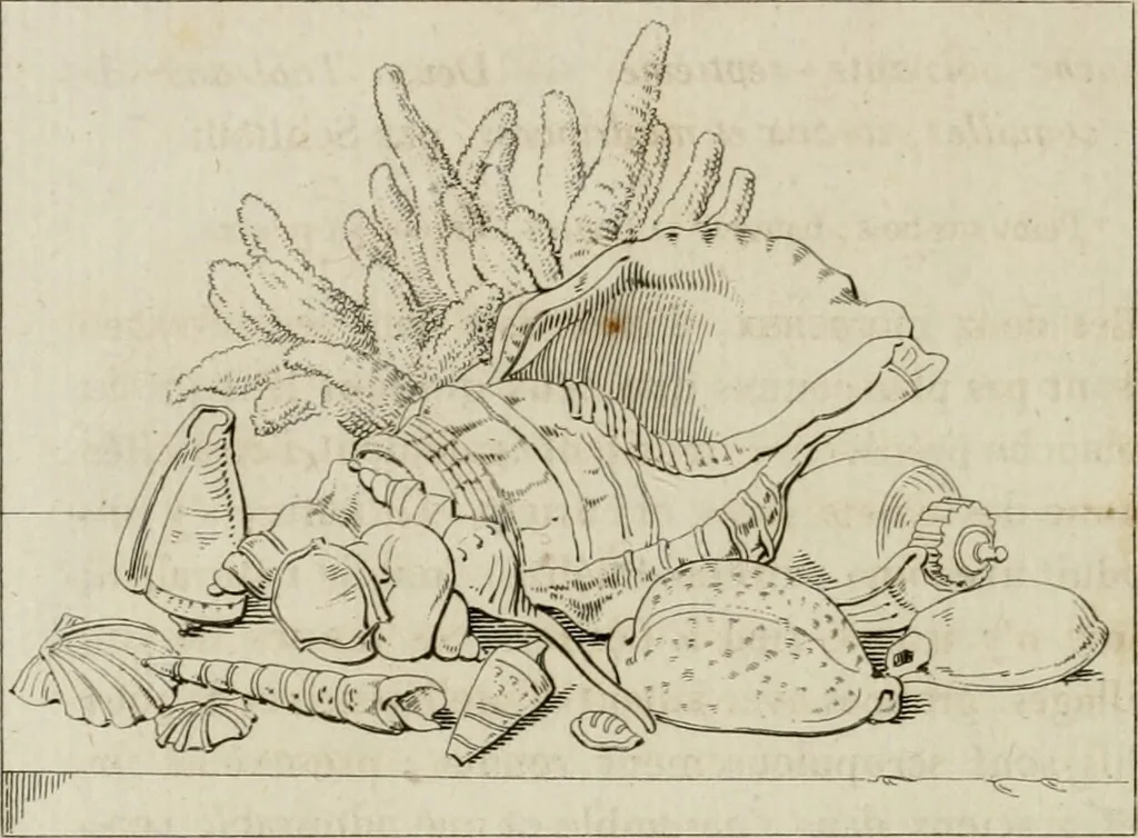 An illustration from Annales du musée et de l'école moderne des beaux-arts : recueil de gravures au trait, d'après les principaux ouvrages de peinture, sculpture, ou projets d'architecture, qui, chaque année, ont remporté le prix, soit aux écoles spéciales, soit aux concours nationaux : les productions des artistes en tous genres, qui, aux différentes expositions, ont été citées avec éloges : les morceaux les plus estimés ou inédits de la galerie de peinture : la suite complète de celle des antiques : édifices anciens et modernes, etc., 1800, leaf 275