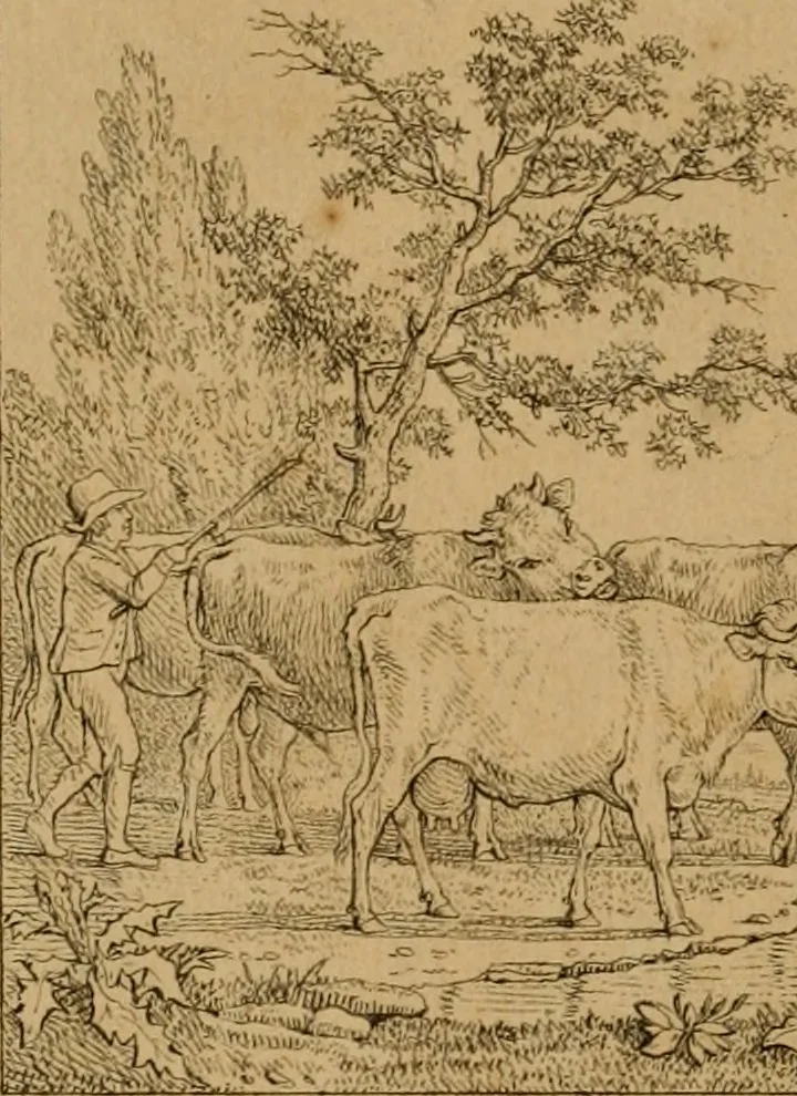 An illustration from Annales du Salon de Gand et de l'école moderne des Pays-Bas : recueil de morceaux choisis parmi les ouvrages de peinture, sculpture, architecture et gravure, esposés au musée en 1820, et d'autres nouvelles productions d l'art : gravés au trait, avec l'explication des sujets et une notice sur les artistes, 1823, leaf 353