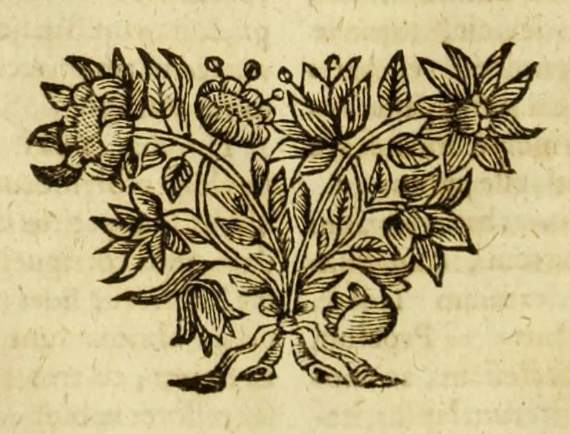 An illustration from Annales mundi, sive Chronicon universale secundum optimas chronologorum epochas ab orbe condito ad annum Christi, millesimum sexcentesimum sexagesimum perductum, 1696, leaf 428