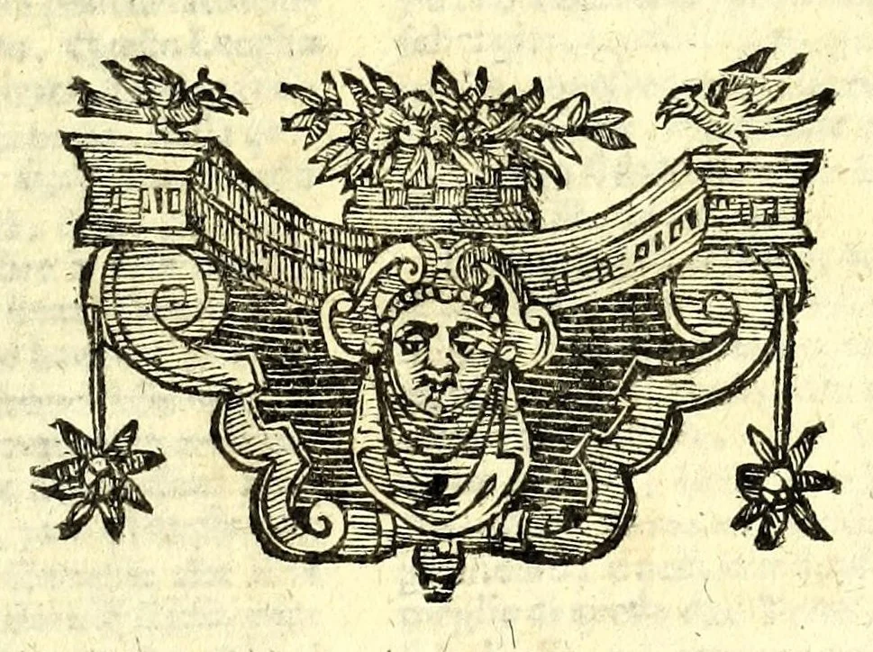 An illustration from Annali di Alessandria, ouero, Le cose accadute in essa città nel suo e circonuicino territorio dall'anno dell'origine sua sino al M.DC.LIX. : i fatti memorabili de' suoi cittadini : alcuni auuenimenti notabili altroue occorsi nell'istesso tempo : et vn breue trattato delle terre, che alla fabrica dell'istessa città concorsero : con due tauole ..., 1666, leaf 381