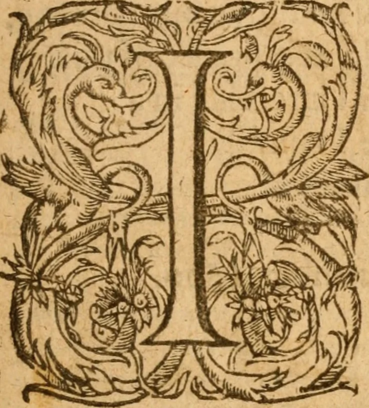 An illustration from [Annals of England to 1603], 1603, leaf 22