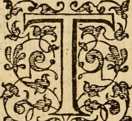An illustration from [Annals of England to 1603], 1603, leaf 791