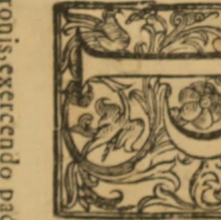 An illustration from Annotationes pro Regio Aerario ad Supremi Regiae Camerae Summariae Senatus Regni Neapolis decisiones, ... exaratus a ... Annibale Moles ... Nostra aetate anno 1670 in lucem editas ... Additisque undecim quaestionibus, cum suis decisionibus ejusdem, 1692, leaf 73