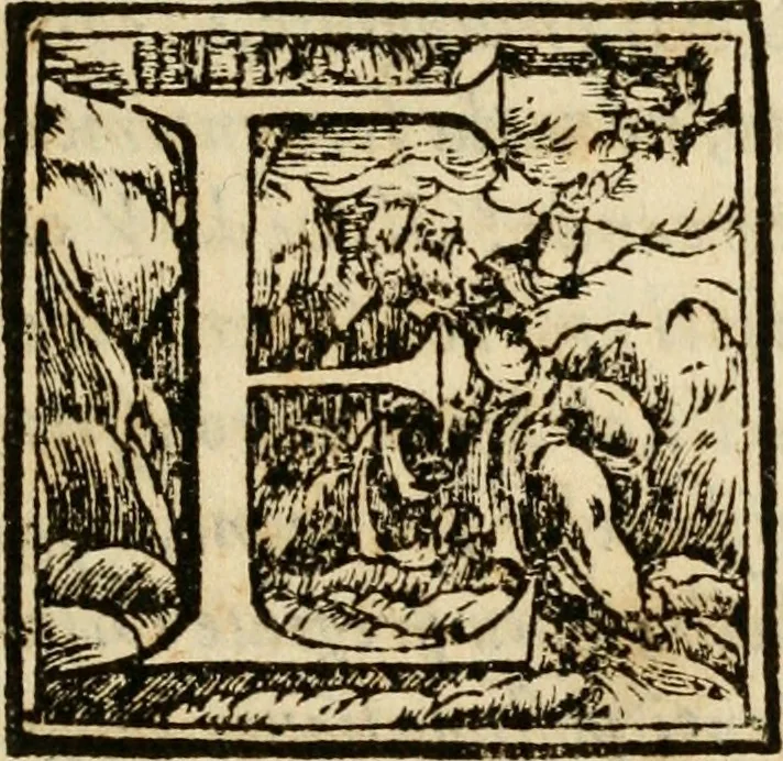 An illustration from Annotazioni, ovvero, Chiose marginali, di Bellisario Bulgarini, l'Aperto, accademico intronato : sopra la prima parte della difesa fatta da m. Iacopo Mazzoni per la Commedia di Dante Alighieri : compilate nell' idioma toscano sanese : aggiontoui il discorso di m. Ridolfo Castrauilla sopra la medesima Commedia, &c. : ed insieme il racconto delle materie più notabili di tutta l'opera, 1608, leaf 8