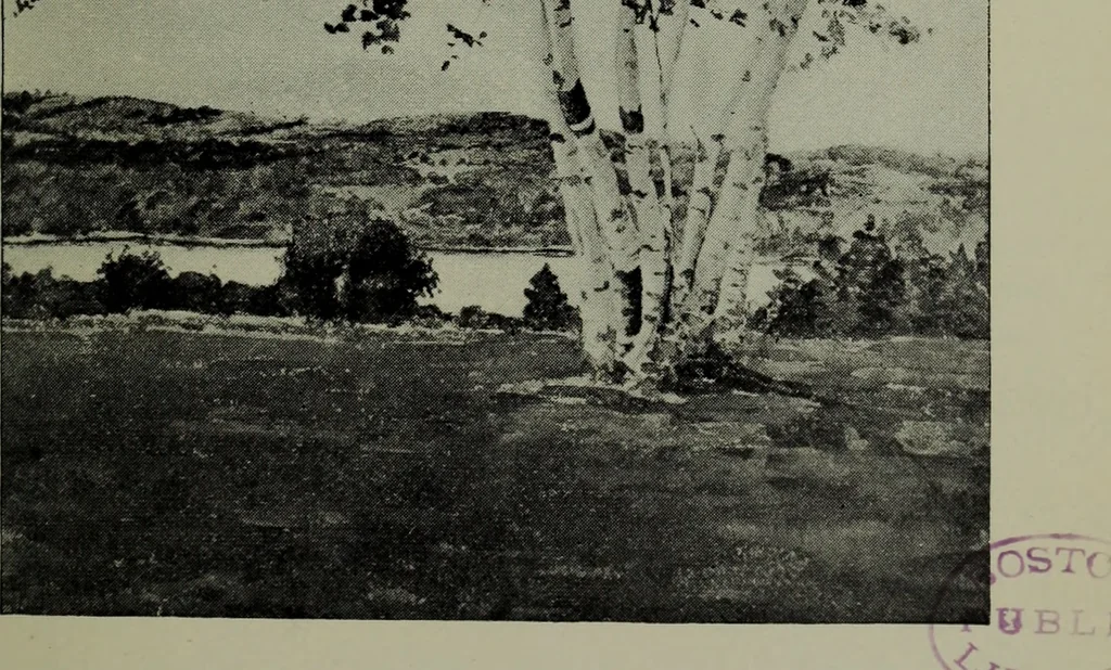 An illustration from Annual exhibition of paintings and sculpture by prominent painters and sculptors, 1904, leaf 26