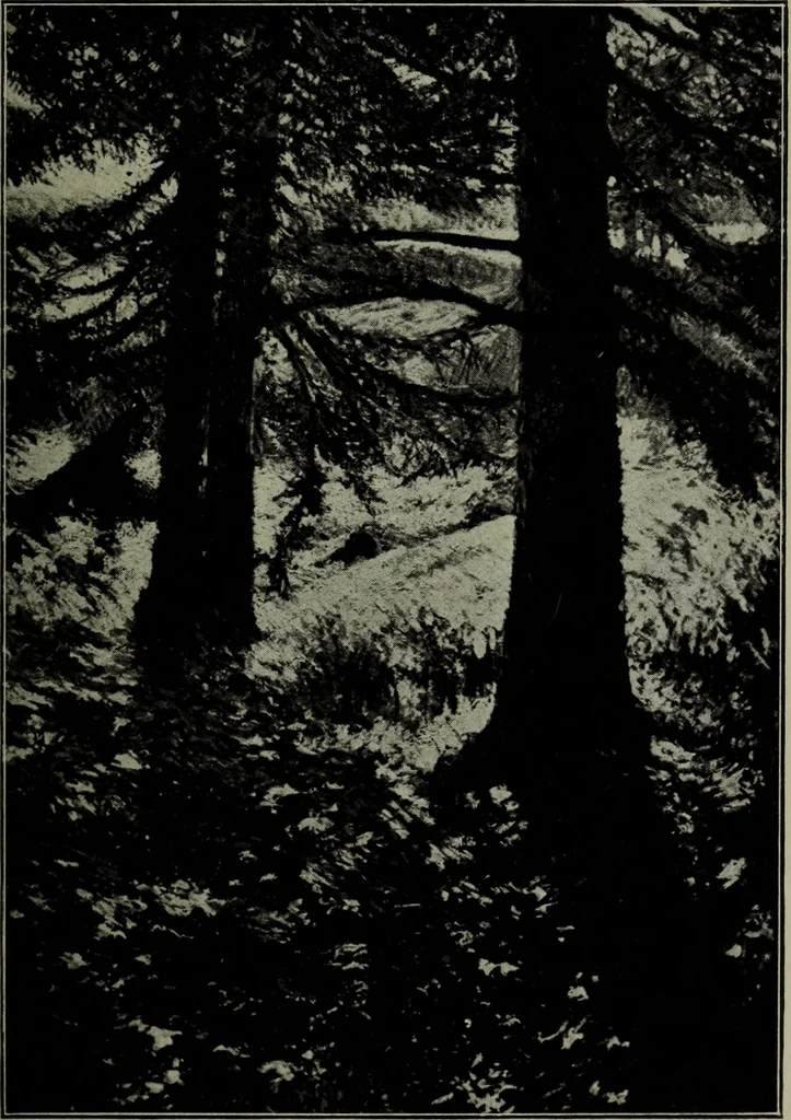 An illustration from Annual exhibition of paintings and sculpture by prominent painters and sculptors, 1904, leaf 318