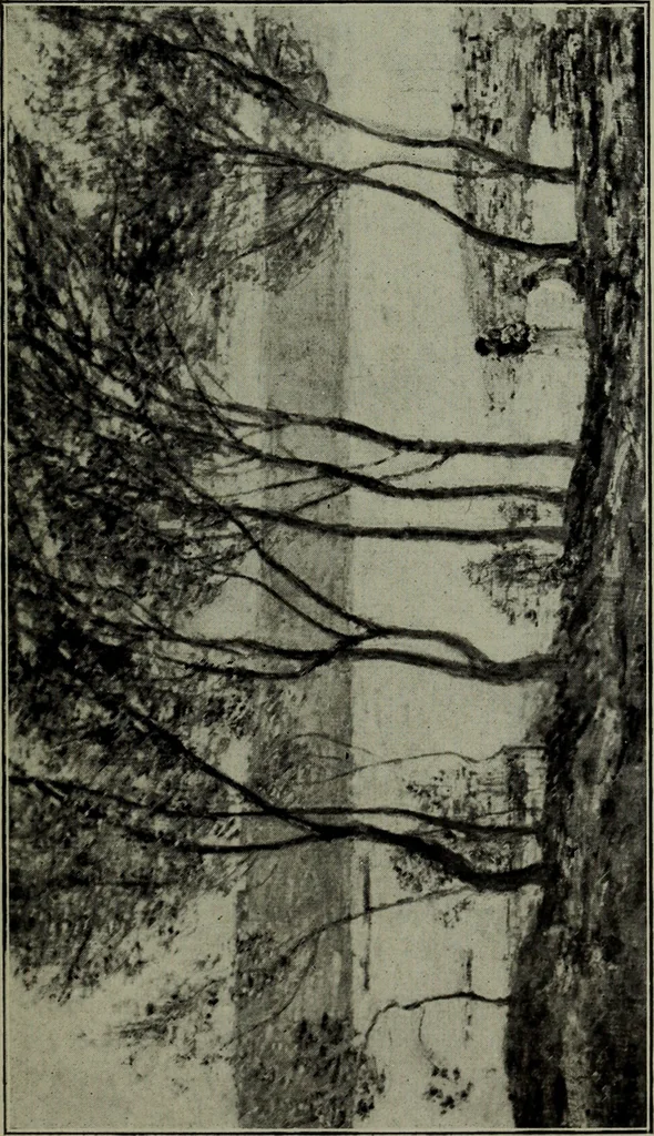 An illustration from Annual exhibition of paintings and sculpture by prominent painters and sculptors, 1904, leaf 342