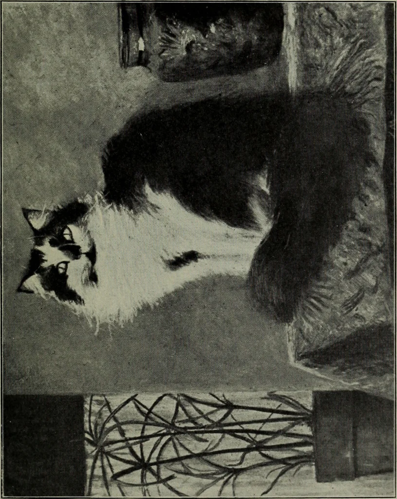 An illustration from Annual exhibition of paintings and sculpture by prominent painters and sculptors, 1904, leaf 406