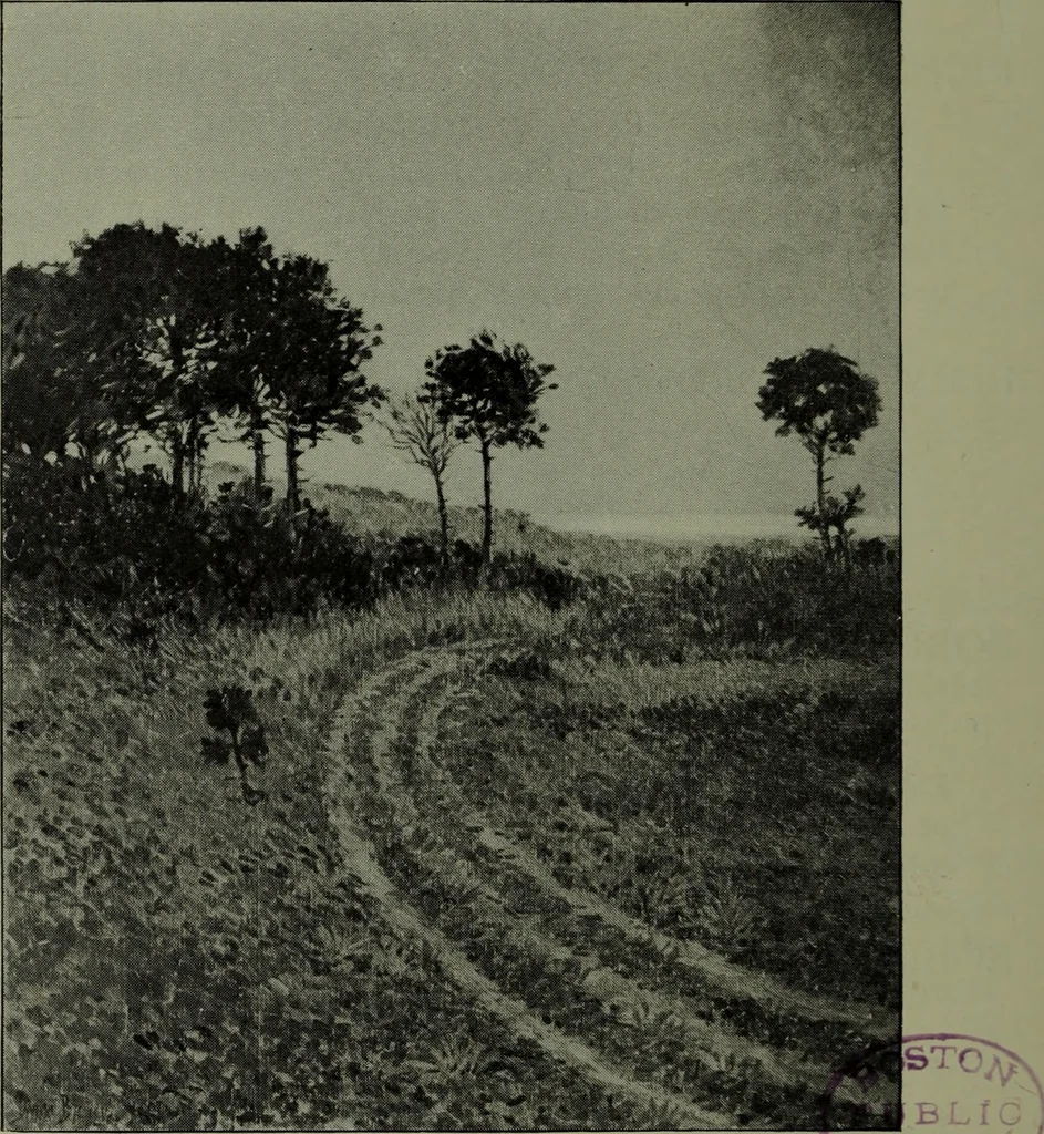 An illustration from Annual exhibition of paintings and sculpture by prominent painters and sculptors, 1904, leaf 41