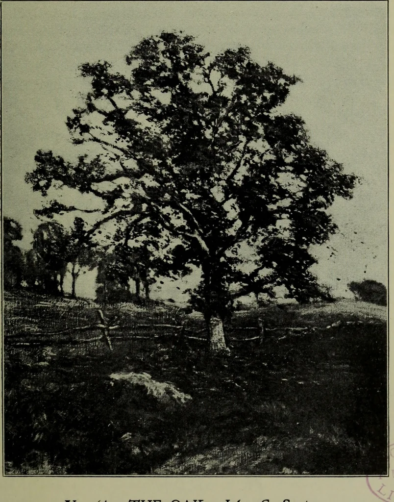 An illustration from Annual exhibition of paintings and sculpture by prominent painters and sculptors, 1904, leaf 74