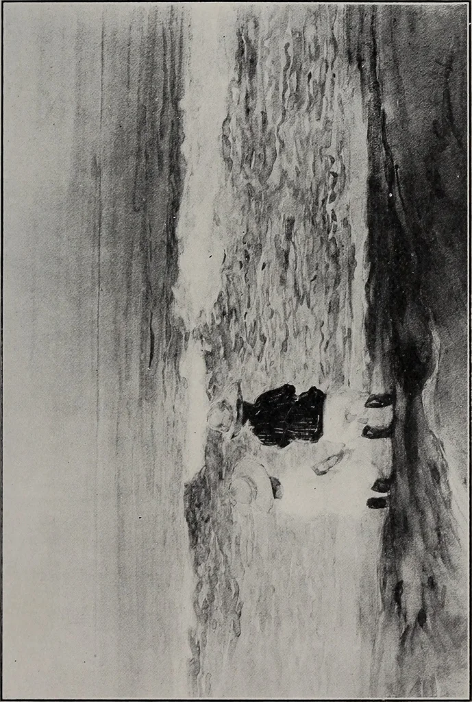 An illustration from Annual exhibition of paintings and sculpture by prominent painters and sculptors, 1904, leaf 286