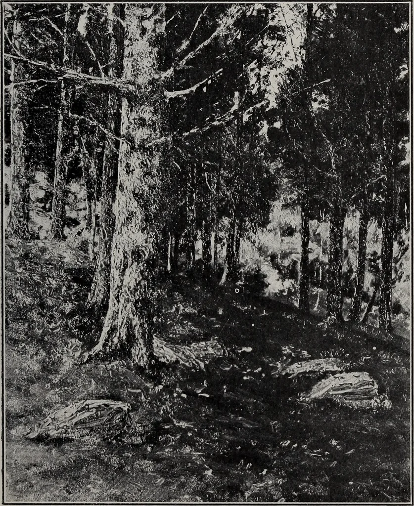An illustration from Annual exhibition of paintings and sculpture by prominent painters and sculptors, 1904, leaf 314