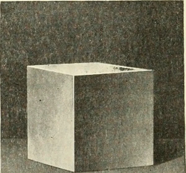 An illustration from Annual and miscellaneous addresses during the years 1910-1911-1912, 1910, leaf 155