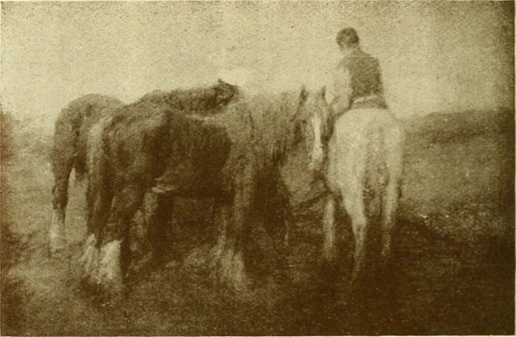 An illustration from Thirty-eighth Annual open exhibition of painting and sculpture; [catalogue], 1910, 1900, leaf 17