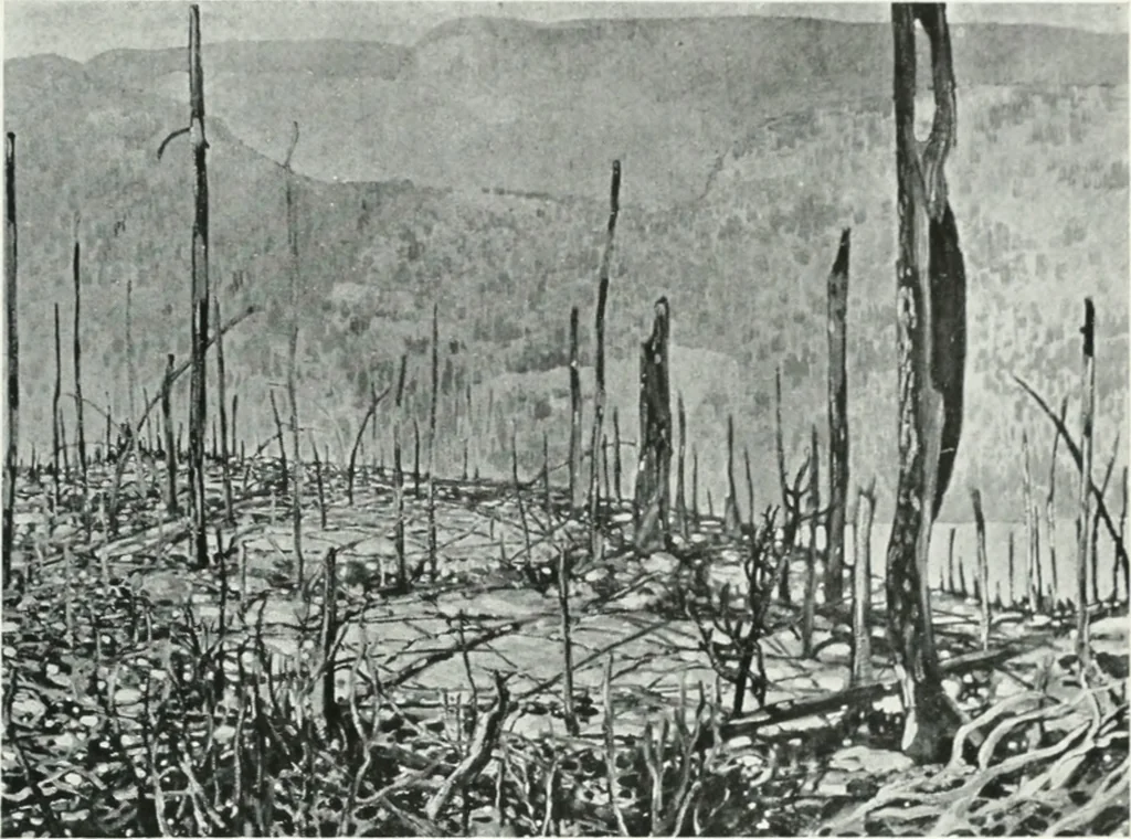 An illustration from Forty-eighth Annual open exhibition of painting and sculpture; [catalogue], 1920, 1900, leaf 34