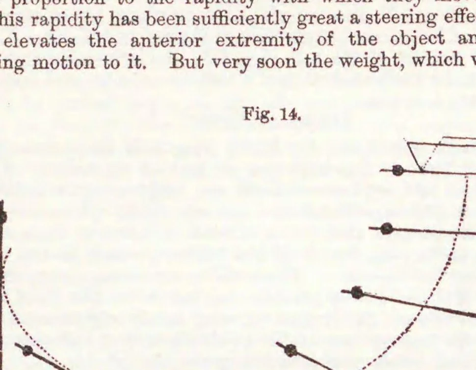 An illustration from Annual report of the Aeronautical Society of Great Britain, 1866, leaf 44
