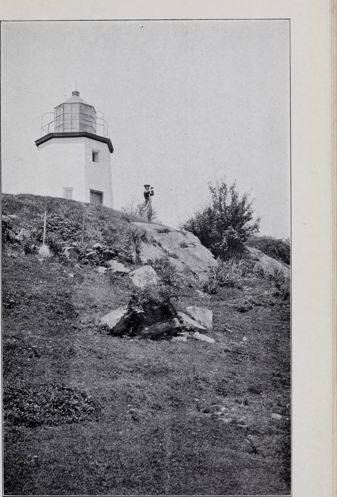 An illustration from Annual report of the American Scenic and Historic Preservation Society to the legislature of the State of New York., 1901, leaf 878