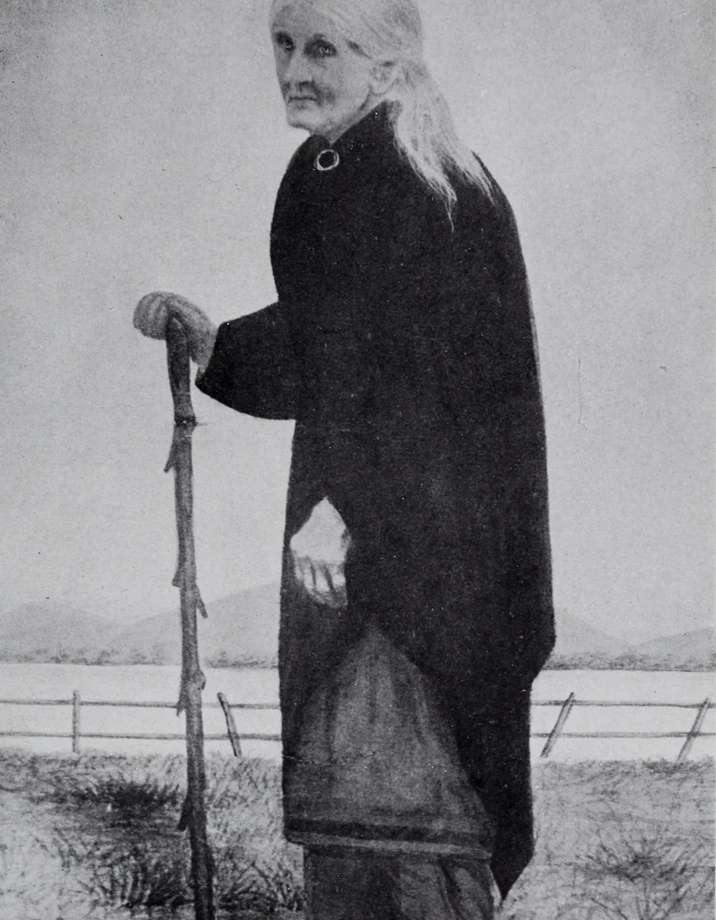 An illustration from Annual report of the American Scenic and Historic Preservation Society to the legislature of the State of New York., 1901, leaf 912
