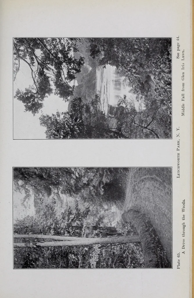 An illustration from Annual report of the American Scenic and Historic Preservation Society to the legislature of the State of New York., 1901, leaf 916