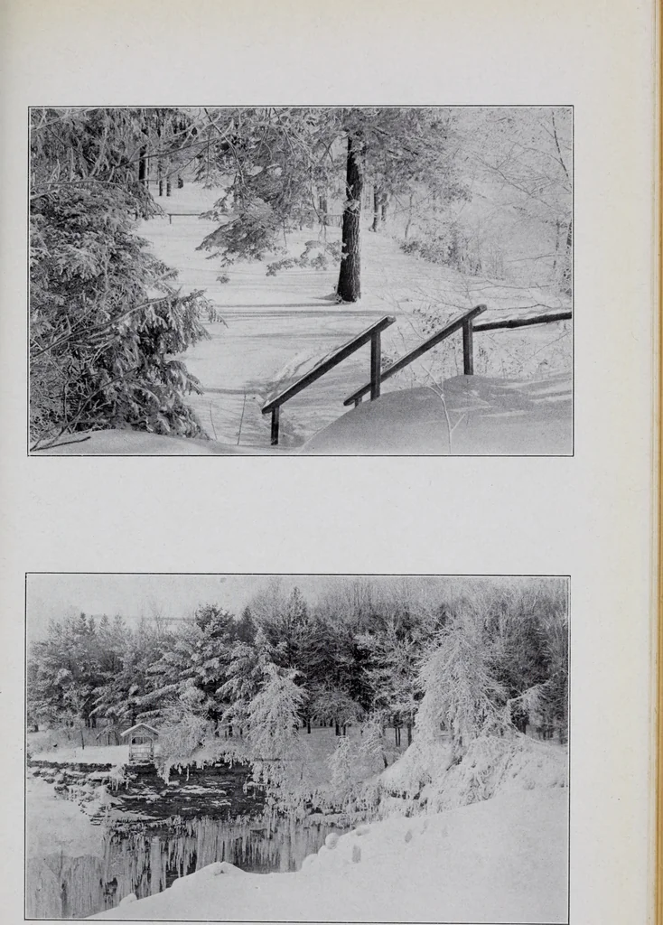 An illustration from Annual report of the American Scenic and Historic Preservation Society to the legislature of the State of New York., 1901, leaf 918