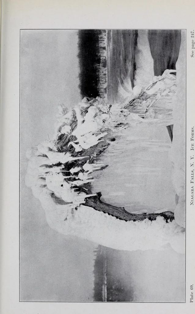 An illustration from Annual report of the American Scenic and Historic Preservation Society to the legislature of the State of New York., 1901, leaf 924