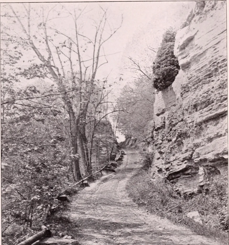An illustration from Annual report of the American Scenic and Historic Preservation Society to the legislature of the State of New York., 1901, leaf 810