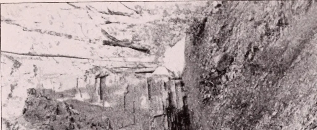 An illustration from Annual report of the American Scenic and Historic Preservation Society to the legislature of the State of New York., 1901, leaf 822