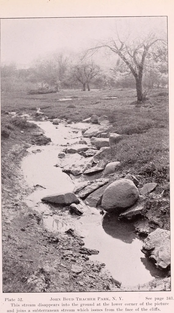An illustration from Annual report of the American Scenic and Historic Preservation Society to the legislature of the State of New York., 1901, leaf 824