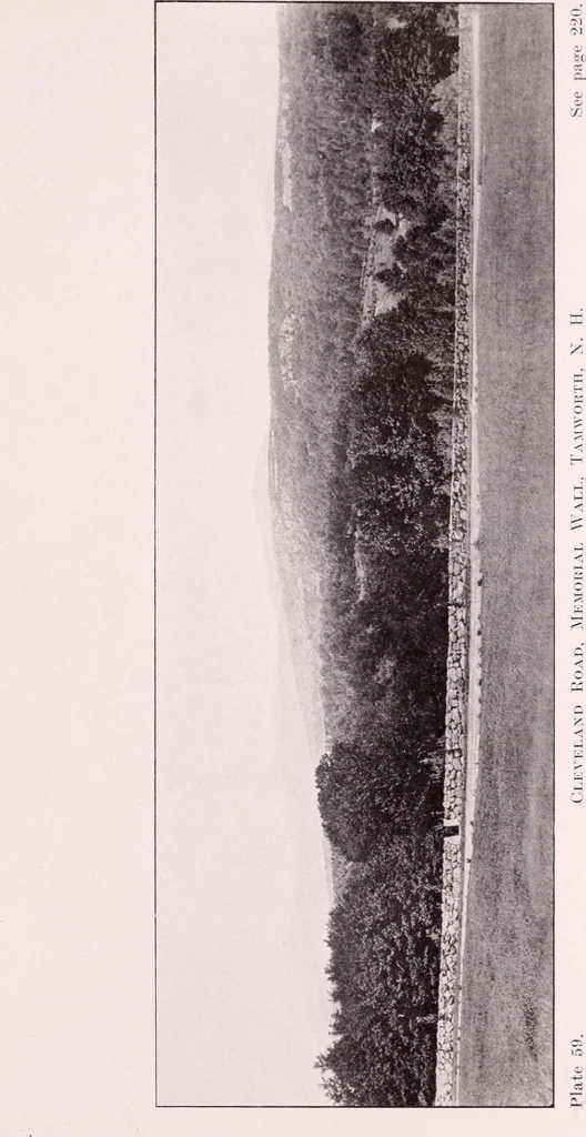 An illustration from Annual report of the American Scenic and Historic Preservation Society to the legislature of the State of New York., 1901, leaf 838