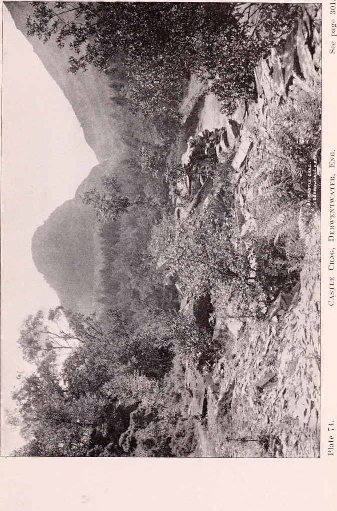 An illustration from Annual report of the American Scenic and Historic Preservation Society to the legislature of the State of New York., 1901, leaf 868