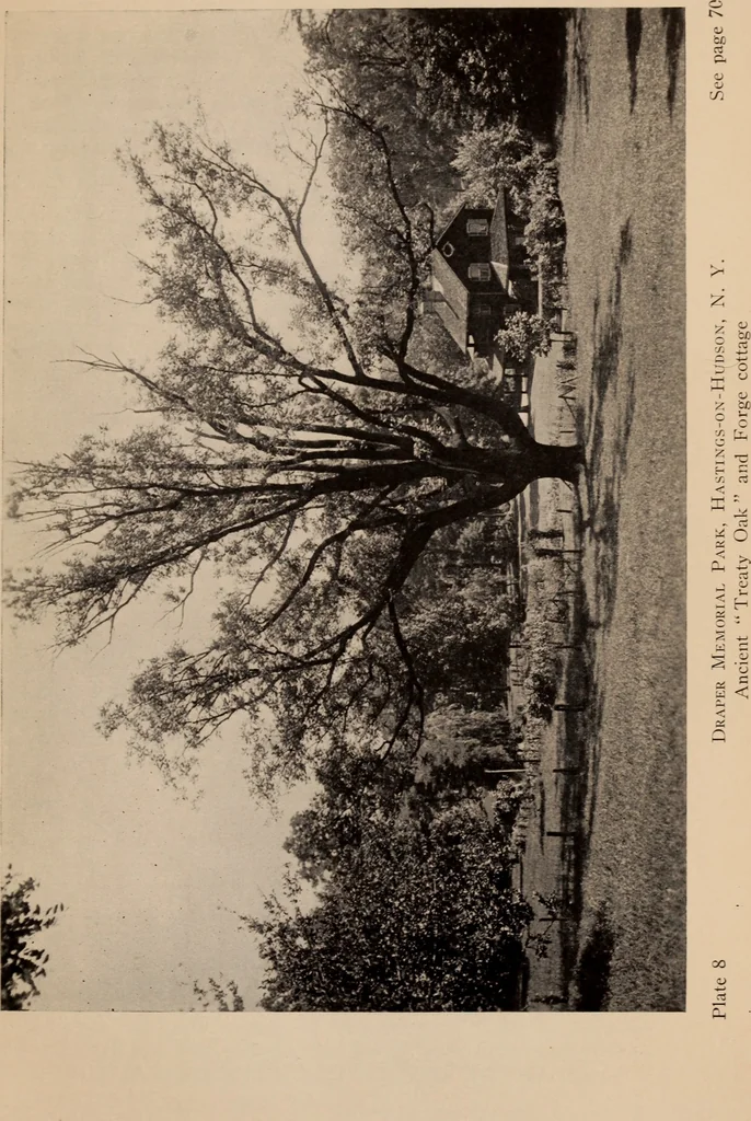 An illustration from Annual report of the American Scenic and Historic Preservation Society to the legislature of the State of New York., 1901, leaf 152