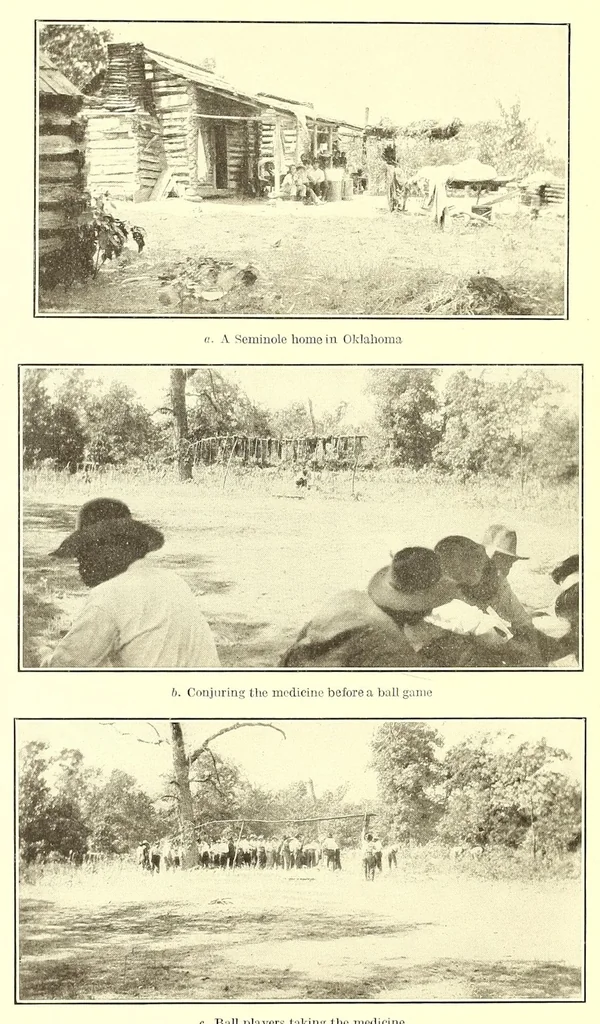 An illustration from Annual report of the Bureau of American Ethnology to the Secretary of the Smithsonian Institution, 1895, leaf 254