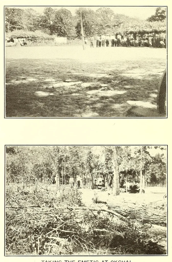 An illustration from Annual report of the Bureau of American Ethnology to the Secretary of the Smithsonian Institution, 1895, leaf 612